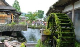 江西房东同村爆料最新消息,揭秘某村惊人内幕！