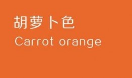 橙色你在线观看,在线观看的视觉盛宴