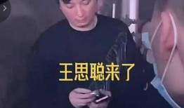 王思聪先生爆料视频,娱乐圈幕后真相大曝光
