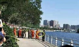 清河爆料最新情况视频,事件进展及幕后真相曝光