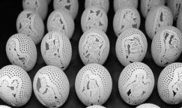 蛋壳最新爆料,揭秘行业黑幕，深度剖析蛋壳事件真相