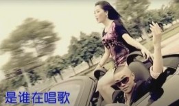 曾毅的玲花儿子爆料视频,揭秘明星家庭幕后故事