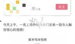 宝山新闻爆料事件视频,视频揭露惊人真相