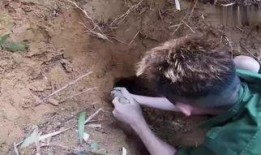 洞在线观看,揭秘神秘洞穴的奇幻之旅