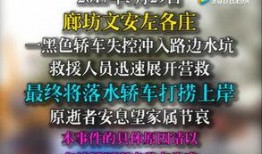 文安网友爆料事件视频播放,视频揭露惊人真相