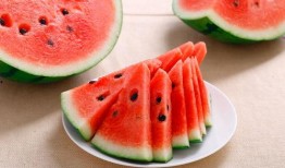 最新吃瓜免费网站