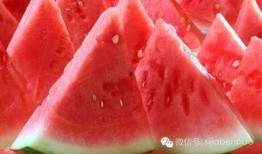 瓜家人在洛杉矶娱乐吃瓜号,瓜家人吃瓜大揭秘