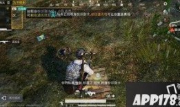 和平精英新返场最新爆料,神秘爆料揭秘，经典模式强势回归！