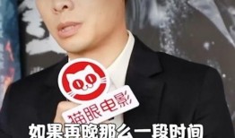 张译爆料经历视频播放,幕后爆料背后的心路历程