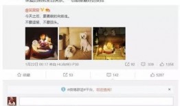 娱乐爆料绯闻是真的吗知乎,真相还是炒作？
