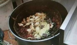 红油咸菜爆料视频播放,红油咸菜视频播放背后的故事