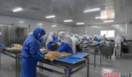 圣农工厂工人爆料视频,真实工作环境与劳动状况曝光