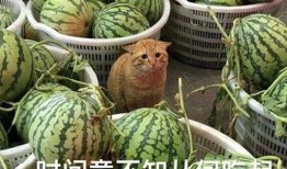 湖北最新吃瓜爆料视频,揭秘神秘事件真相！