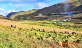 爆料禾丰美景视频大全,带你领略乡村风光无限