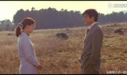 恋风恋歌电影在线观看,浪漫旋律中的爱情故事