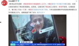 李陈爆料收入视频播放,视频播放背后的惊人收入真相