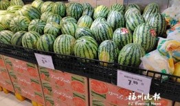 吃瓜福州网红,揭秘网络红人的魅力与争议