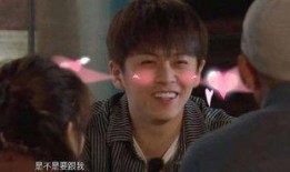 武艺爆料嘉宾名单最新版,豪华嘉宾阵容大揭秘，明星云集引期待