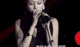 汪峰爆料前妻视频在线观看,揭秘婚姻内幕，在线观看引发热议