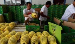 吃瓜星娱乐场,吃瓜星娱乐场独家爆料