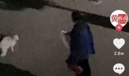 西安爆料大爷视频最新,揭秘背后真相