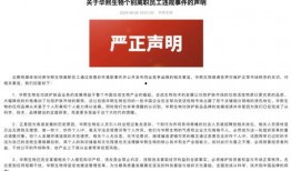 财务爆料娱乐公司怎么办