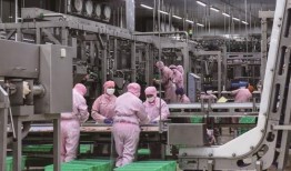 圣农工厂工人爆料视频,真实工作环境与劳动状况曝光