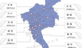 荣都新地图爆料最新消息,探索未知领域，揭开神秘面纱