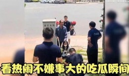 不嫌事吃瓜视频免费观看,揭秘热门视频背后的精彩故事