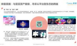 新港最新爆料新闻直播,最新爆料新闻深度解析