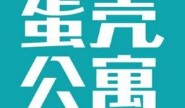 蛋壳最新爆料,揭秘行业黑幕，深度剖析蛋壳事件真相