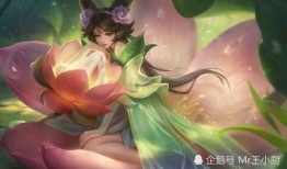 皮肤爆料嫦娥图片大全视频