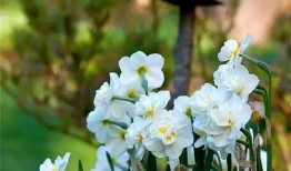 爆料霸州四院事件视频最新