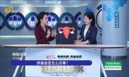 佛山电台爆料新闻直播视频,最新爆料新闻事件深度解析