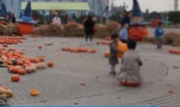 南瓜游乐场爆料视频,惊险刺激的奇幻之旅大揭秘！