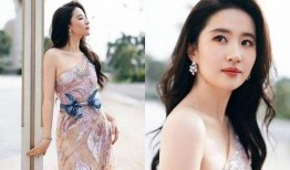 关于女星最新爆料的小说