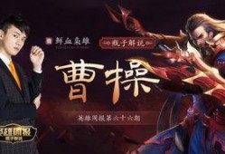 王者瓶子爆料视频大全下载