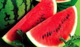 小瓜吃瓜娱乐,揭秘娱乐圈幕后故事，带你领略明星真实生活