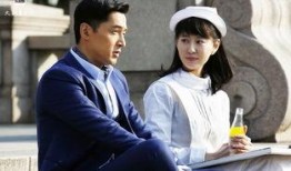 伪装者在线观看乐视