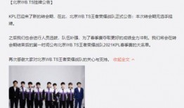 转会期最新爆料ts,TS战队引援新动态，神秘选手即将加盟