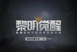 黎明觉醒抽奖爆料视频