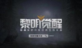 黎明觉醒抽奖爆料视频