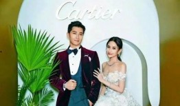 圈内爆料何超莲事件,圈内爆料揭开神秘面纱