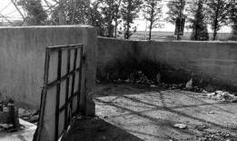 在线观看铁门,揭秘网络世界的隐秘角落