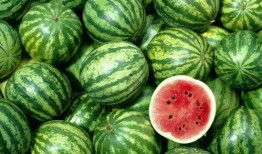 土豆直播间大号网红吃瓜,揭秘娱乐圈幕后真相