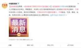 李陈爆料收入视频播放,视频播放背后的惊人收入真相