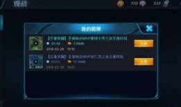 王者荣耀爆料阿菊视频,神秘女侠，战场上的花木兰