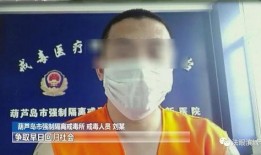 烹夫完整在线观看,一锅佳肴背后的传奇人生