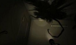 咒怨3日本版在线观看,日本版在线观看：揭秘恐怖之源的惊悚续集