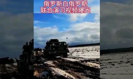 俄国最新爆料视频大全,震撼内幕一网打尽